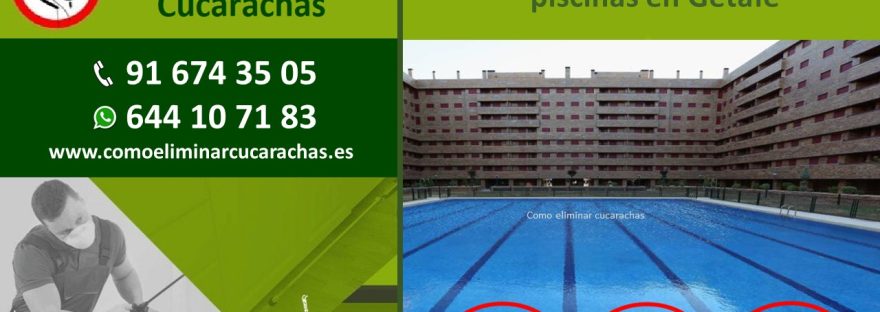 Certificado Control de plagas de piscinas en Getafe