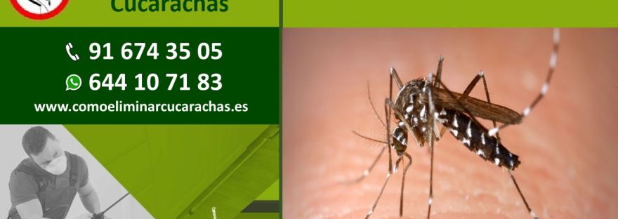 Empresas control de plagas de mosquitos en Mejorada del Campo