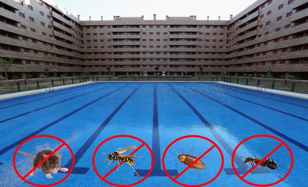 Certificado Control de plagas de piscinas en Getafe