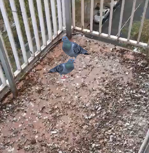 Empresas control de plagas de palomas en Getafe